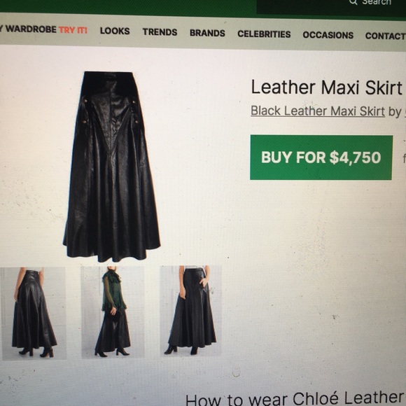 Chloé 2016 Runway Leather Maxi Skirt 36/38 - Picture 3 of 16